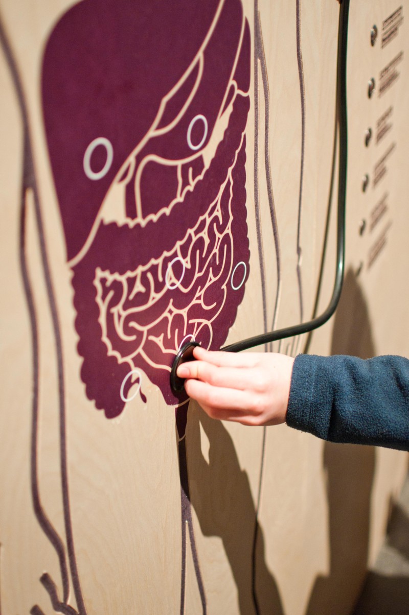 mon-corps-ma-sante-6