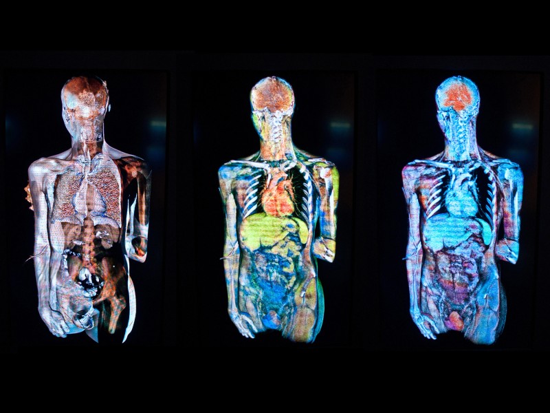 mon-corps-ma-sante-3