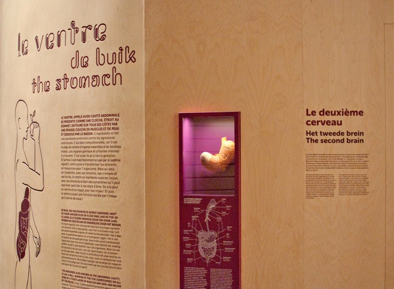 mon-corps-ma-sante-1