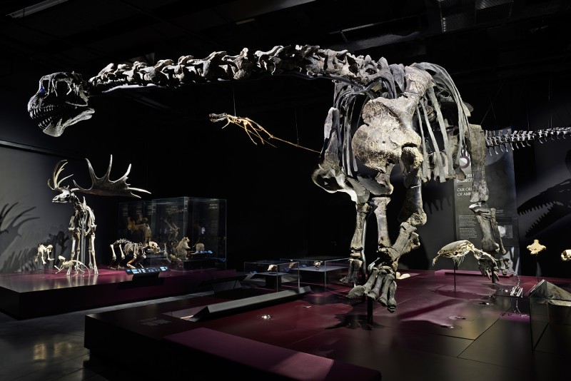 origines-musee-des-confluences-5