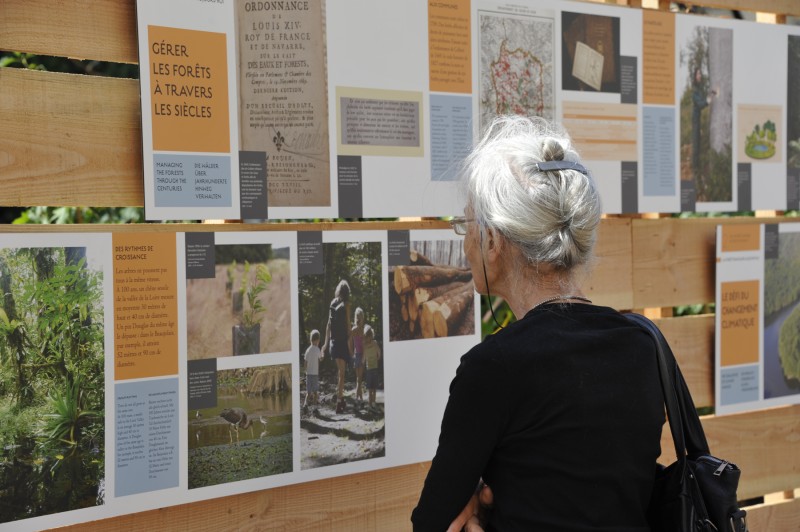 onf-strategie-foret-13