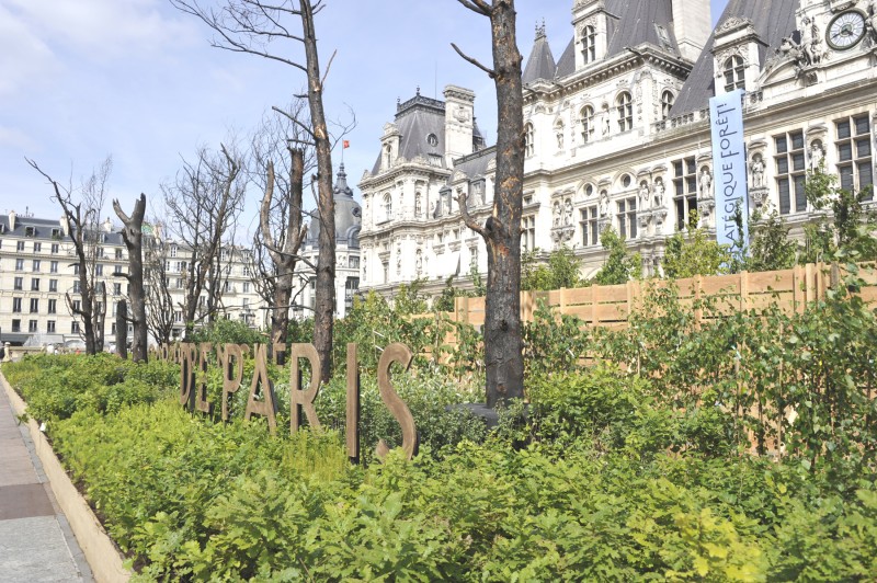 onf-strategique-foret-5