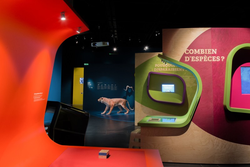 tous-vivants-tous-differents-11