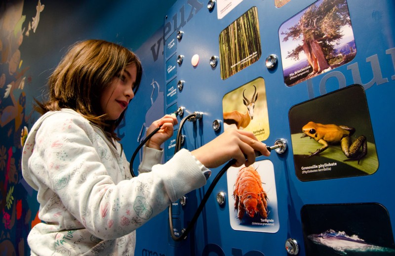 tous-vivants-tous-differents-2