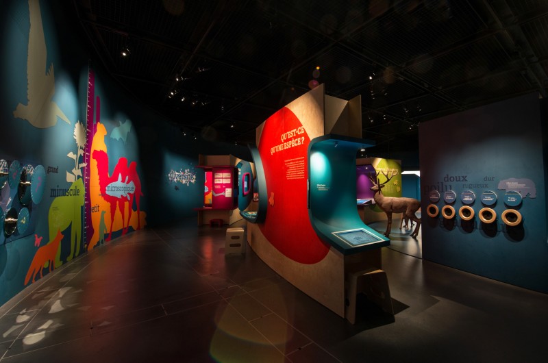 tous-vivants-tous-differents-6