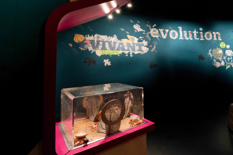 tous-vivants-tous-differents-3