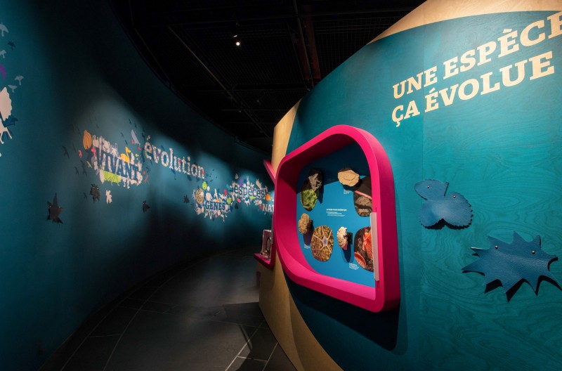 tous-vivants-tous-differents-5