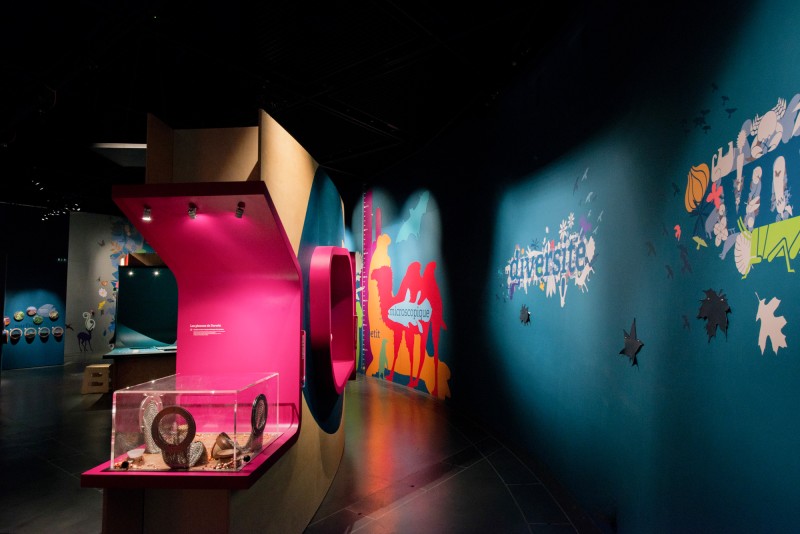 tous-vivants-tous-differents-12