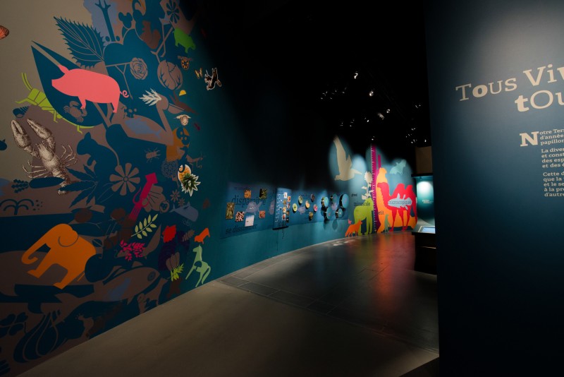 tous-vivants-tous-differents-7