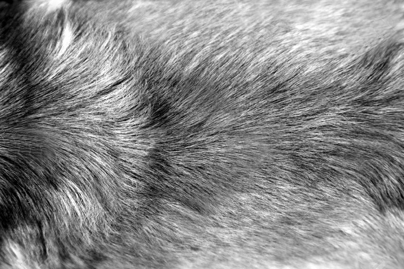 musee-neanderthal-10