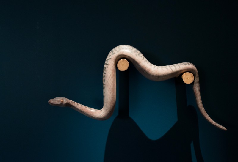 tous-vivants-tous-differents-16